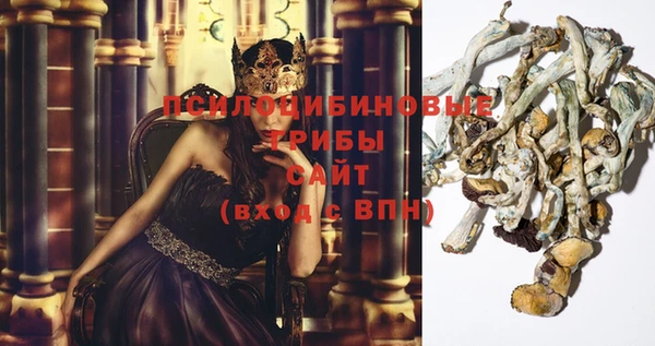 ECSTASY Краснотурьинск
