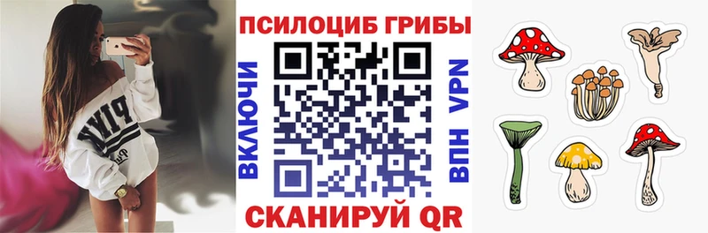 цена   Тимашёвск  Псилоцибиновые грибы Magic Shrooms 