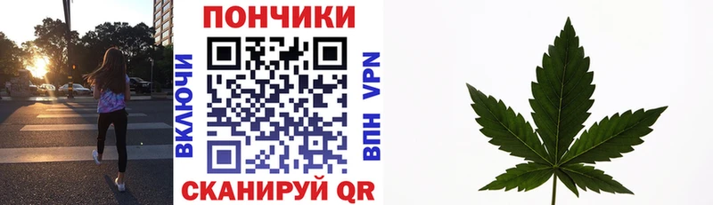 Конопля индика  Тимашёвск 